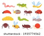 Cute Insects Vector...