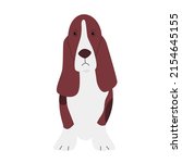 Basset Hound Puppy Dog. Long...