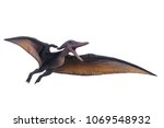 Big Model Of Prehistoric Flying ...