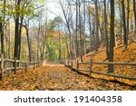 Autumn forest with yellow maple trees and colorful foliage in hiking trail, Toronto