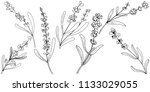 flower lavender in a vector... | Shutterstock .eps vector #1133029055