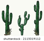colorful vintage set of prickly ... | Shutterstock .eps vector #2115019112