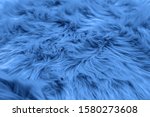 Fur Background Toned Blue Color....