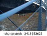 Small photo of high-angle view of flowing river below abridge in autumn