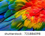 Close Up Of Scarlet Macaw Bird...