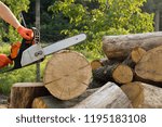 Small photo of Close-up of woodcutter sawing chain saw in motion, sawdust fly to sides. Concept is to bring down trees. A person using a chainsaw on pretty wood.Woodcutter saws tree with chainsaw on sawmill