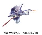 Watercolor Single Heron Animal...