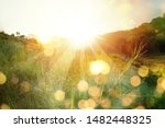 Meadow landscape refreshment with sunray and golden bokeh.Beautiful sunrise in the mountain.