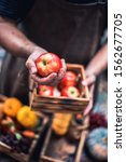 Small photo of Farmer with fresh fruit on hands. Fall harvest cornucopia. Autumn season with fruit and vegetable. Thanksgiving day concept.
