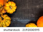 Fall Harvest Cornucopia....