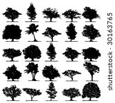 trees | Shutterstock .eps vector #30163765