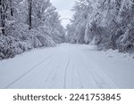 Wisconsin snow covered road and forest in December, horizontal