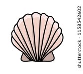 scallop sea shell. hand drawn... | Shutterstock .eps vector #1158542602