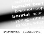 Small photo of borstal word in a dictionary. borstal concept.