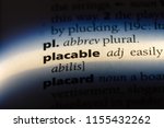 Small photo of placable word in a dictionary. placable concept.