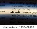 Small photo of nitwit word in a dictionary. nitwit concept.