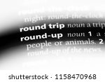 Small photo of round up word in a dictionary. round up concept.