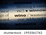 Small photo of wino word in a dictionary. wino concept, definition.