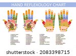 Hand Reflexology Chart With...