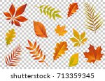 autumn falling leaves isolated... | Shutterstock .eps vector #713359345