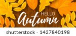 horizontal vector web banner... | Shutterstock .eps vector #1427840198