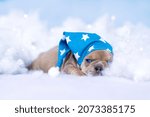 Small photo of Sleepy French Bulldog puppy with nightcap lying between fluffy clouds and stars