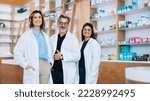 Small photo of Three pharmacists standing together and looking at the camera in a drug store. Group of healthcare professionals working in a pharmacy.