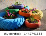 Flower Beds For Petunia From...