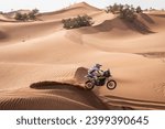Small photo of Zagora, Morocco. 14 October 2023. W2RC World Rally Raid Championship 2023. Rally of Morocco. #41, Jeremy Miroir, FRA, Fantic 450 Rally, Fantic Racing Rally Team, in the dunes.