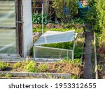 Little Greenhouse In The Garden