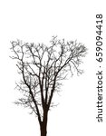 leafless tree | Shutterstock . vector #659094418