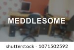 Small photo of Meddlesome word with blurring business background