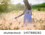young woman walks hand touching gentle of flowers, feel freedom in the light of warm sun, bloom of wild flowers in meadow, enjoyment and peaceful in the field of meadow