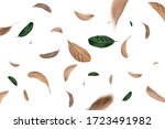green and dry leaves flying on white background,motion blur 
