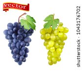red and white table grapes ... | Shutterstock .eps vector #1043176702