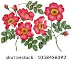 Watercolor Set Of Rose Hip...