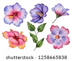 Watercolor Set Of Flowers ...