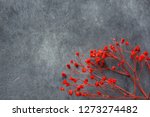 Twig Of Elegant Small Red...