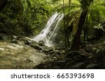 Rainforest Waterfall Flowing In ...