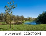 Small photo of Agricultural-Urban Park of the Vettabbia Valley - Wet forest and tank for irrigation, naturalistic area in the the South Milan, Italy