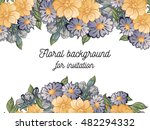 vintage delicate invitation... | Shutterstock .eps vector #482294332