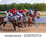 Small photo of RUSSIA, MOSCOW - September 03, 2022: Galloping race horses in racing competition. Jockeys on racing horses. Horse sport. Hippodrome. "Horse racing in honor of the Day of Oil and gas industry workers"