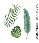 set of tropical plants leaves. | Shutterstock .eps vector #1200419548
