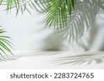 Small photo of Minimal product placement background with palm shadow on plaster wall. Luxury summer architecture interior aesthetic. Creative product platform stage mockup.
