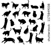 set vector silhouettes of the... | Shutterstock .eps vector #1175849038