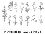 silhouettes  floral branch and... | Shutterstock .eps vector #2137144885