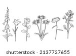 silhouettes  floral branch and... | Shutterstock .eps vector #2137727655