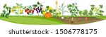 kitchen garden or vegetable... | Shutterstock .eps vector #1506778175