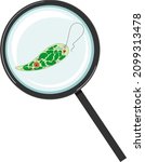 euglena viridis under... | Shutterstock .eps vector #2099313478