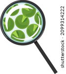 chlorella  single celled green... | Shutterstock .eps vector #2099314222